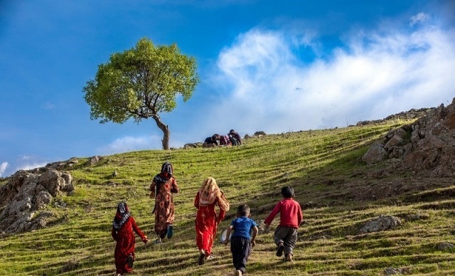 کوچ ییلاقی عشایر کوچ ییلاقی عشایر