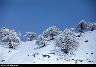 بارش برف در شهرستان الیگودرز