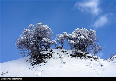 بارش برف در شهرستان الیگودرز