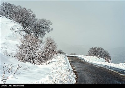 بارش برف در شهرستان الیگودرز