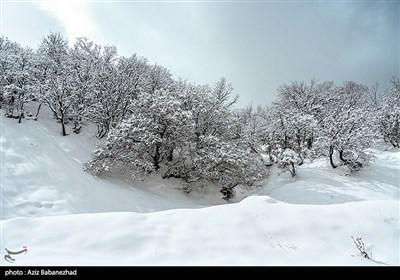 بارش برف در شهرستان الیگودرز