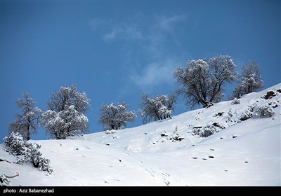 بارش برف در شهرستان الیگودرز