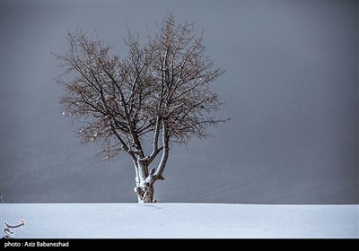 بارش برف در شهرستان الیگودرز