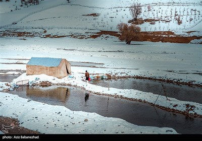 بارش برف در شهرستان الیگودرز