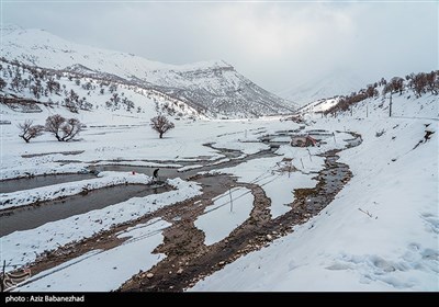 بارش برف در شهرستان الیگودرز