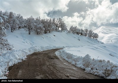 بارش برف در شهرستان الیگودرز