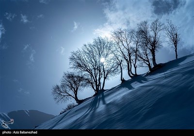 بارش برف در شهرستان الیگودرز