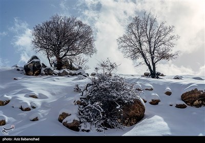 بارش برف در شهرستان الیگودرز