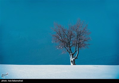 بارش برف در شهرستان الیگودرز