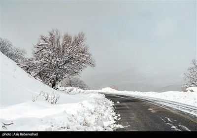 بارش برف در شهرستان الیگودرز