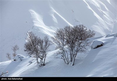 بارش برف در شهرستان الیگودرز