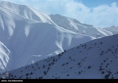 بارش برف در شهرستان الیگودرز