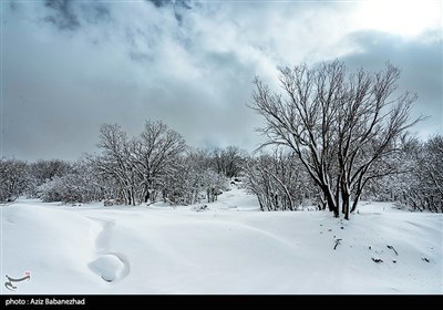 بارش برف در شهرستان الیگودرز