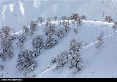 بارش برف در شهرستان الیگودرز