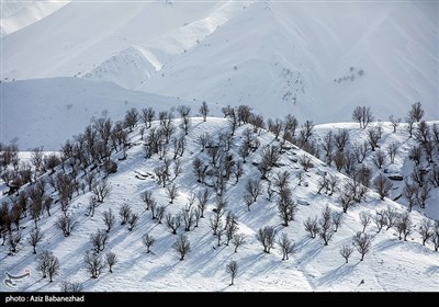 بارش برف در شهرستان الیگودرز