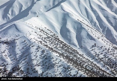 بارش برف در شهرستان الیگودرز