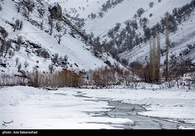 بارش برف در شهرستان الیگودرز