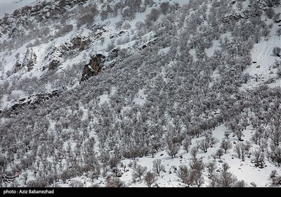 بارش برف در شهرستان الیگودرز