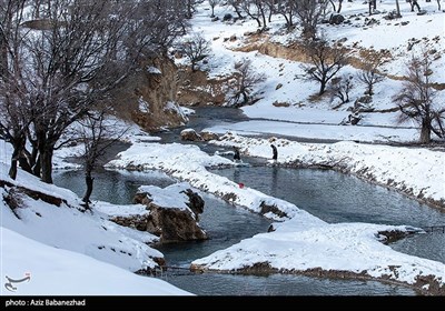 بارش برف در شهرستان الیگودرز