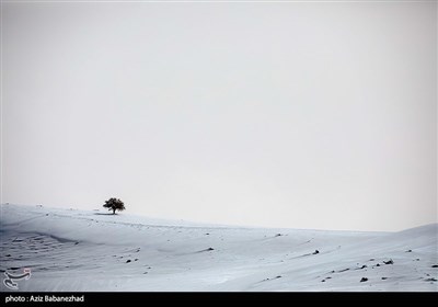 بارش برف در شهرستان الیگودرز