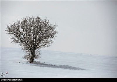 بارش برف در شهرستان الیگودرز