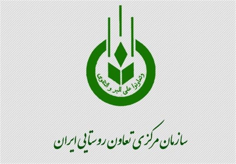 عرضه میوه شب عید و خرما ۲۰ درصد پایینتر از نرخ بازار عرضه میوه شب عید و خرما ۲۰ درصد پایینتر از نرخ بازار