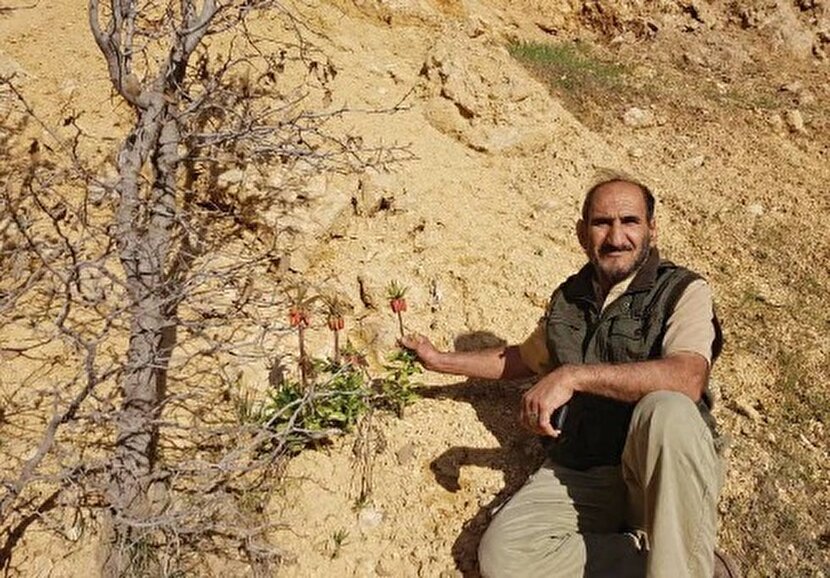 به دست خود درختی بنشانیم...