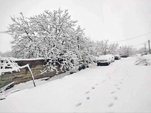 عروسی ایران