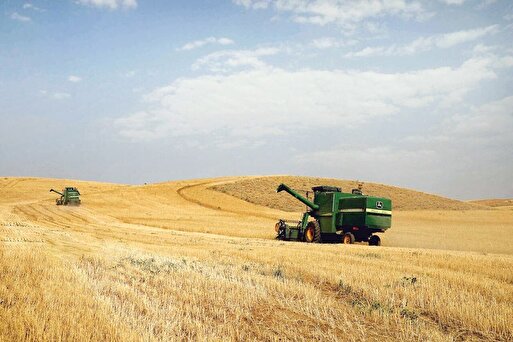 امنیت غذایی با کشت فراسرزمینی