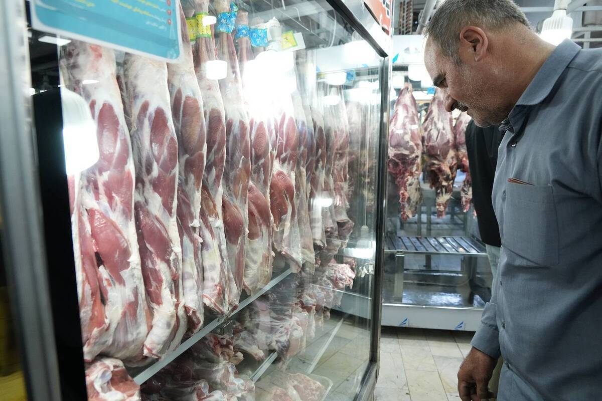 قیمت گوشت گوسفندی در میادین نسبت به سطح شهر کاهش یافت قیمت گوشت گوسفندی در میادین نسبت به سطح شهر کاهش یافت