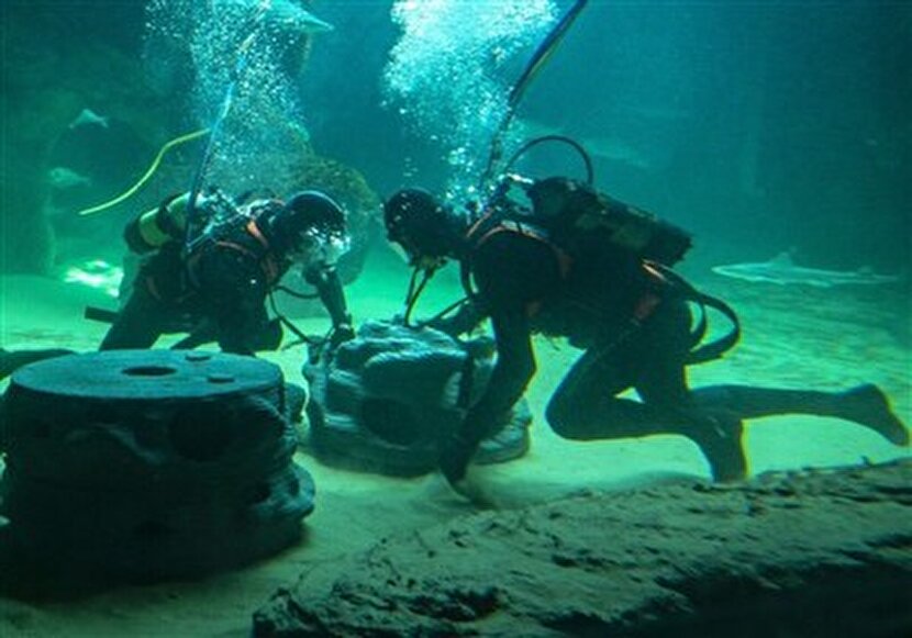 خانه‌تکانی در اعماق خلیج فارس؛ 200 پناهگاه بتنی برای نجات ثروت آبی قشم