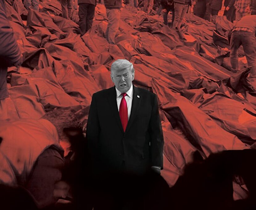 می‌چکد از چنگ تو