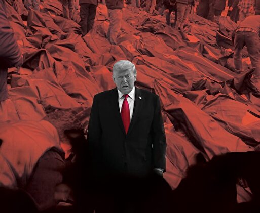 می‌چکد از چنگ تو