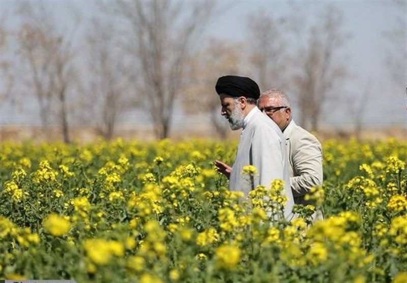 سید ابراهیم رئیسی , کتاب , سوره مهر ,