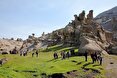 جولان تورهای سیاه گردشگری