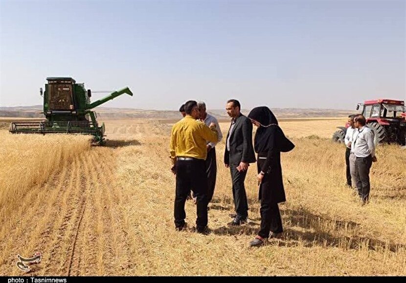 تذکر به وزیر کشاورزی درباره پرداخت سریع مطالبات گندم‌کاران