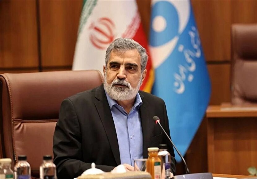 کمالوندی: صنعت هستهای در کشور ما ریشه دارد
