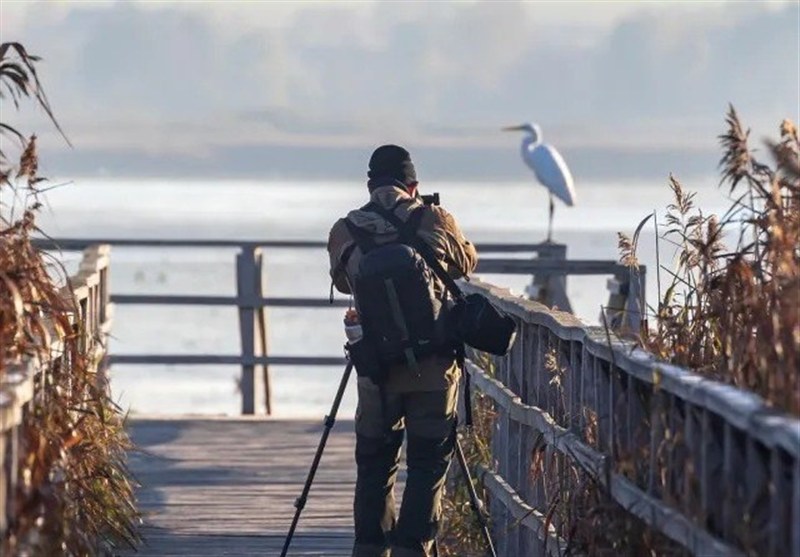 رسانه عبری: جاسوسهای اسرائیلی اطلاعاتی بسیار حساس را به ایران منتقل کردهاند رسانه عبری: جاسوسهای اسرائیلی اطلاعاتی بسیار حساس را به ایران منتقل کردهاند