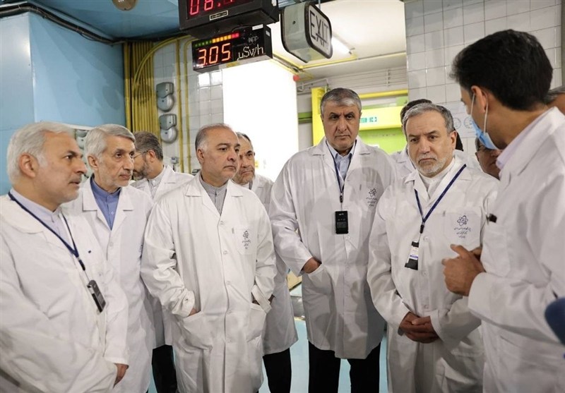 سید عباس عراقچی , صنعت هسته‌ای , سازمان انرژی اتمی ایران ,