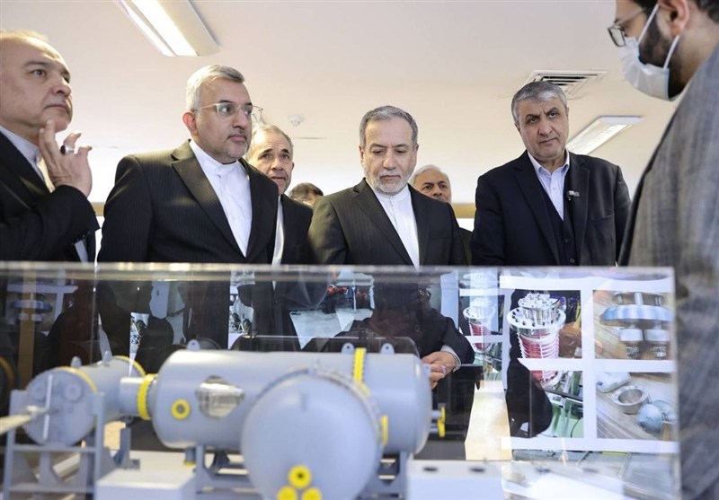 سید عباس عراقچی , صنعت هسته‌ای , سازمان انرژی اتمی ایران ,