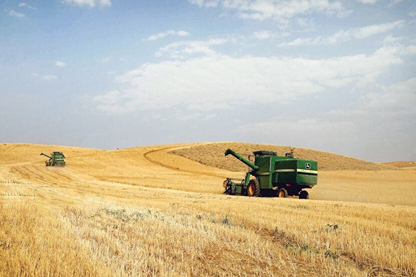 امنیت غذایی با کشت فراسرزمینی