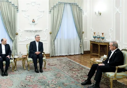 بازنگری شرایط برای تردد سهل ایرانیان مقیم خارج به کشور
