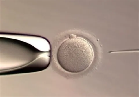 نخستین نوزاد متولد شده با سیستم هوش مصنوعی در IVF دنیا آمد