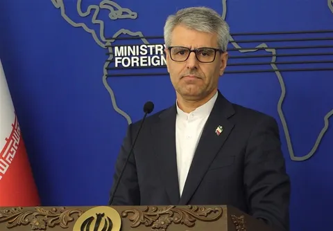 بقائی: ناکامی آلمان در شورای امنیت، نتیجه رویکرد ریاکارانه برلین است