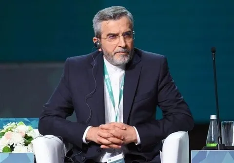 دیدار باقری و مقامات عالی امنیتی برزیل و مصر در مسکو