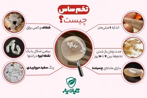 با این سموم مخصوص حشره ساس می‌توانید ریشه تخم ساس تختخوابی را نابود کنید